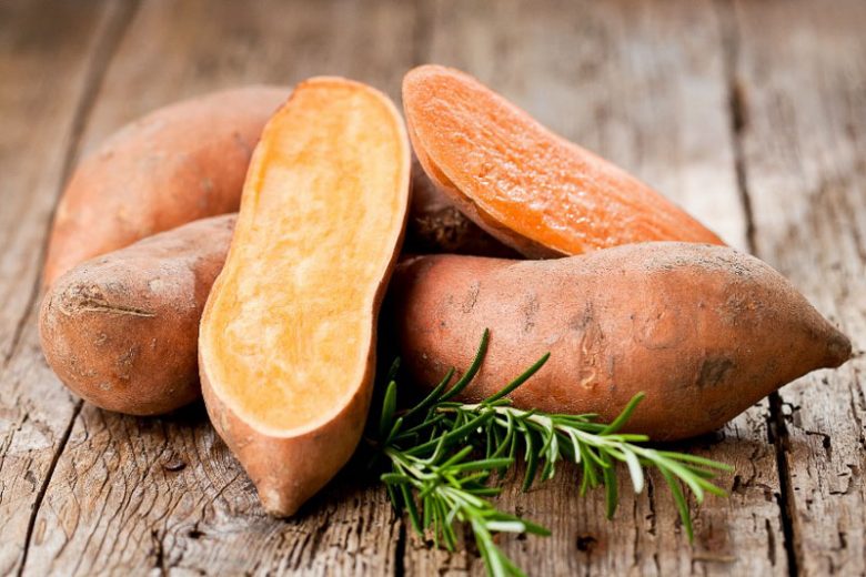 Sweet potato (Ipomoea batatas) in type 2 diabetes mellitus: nutritional density, bioactive compounds, and metabolic modulation